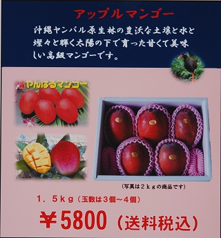 320高級マンゴー１．５ｋｇ